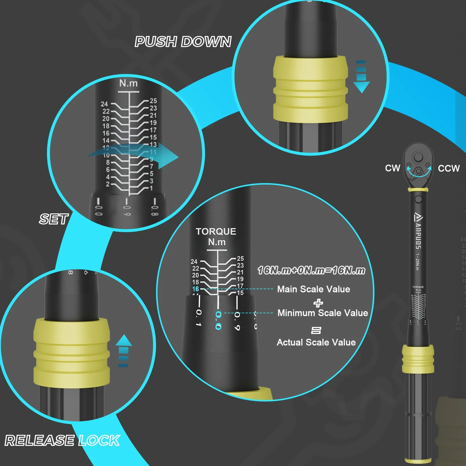 ANPUDS Llave Dinamométrica 1/4'', Llave de Torque 1-25 Nm, 72 Dientes, 21 Piezas Llave Dinamométrica Set con Extensión, Adaptador, Torx, Bits, para Reparación y Mantenimiento de Bici