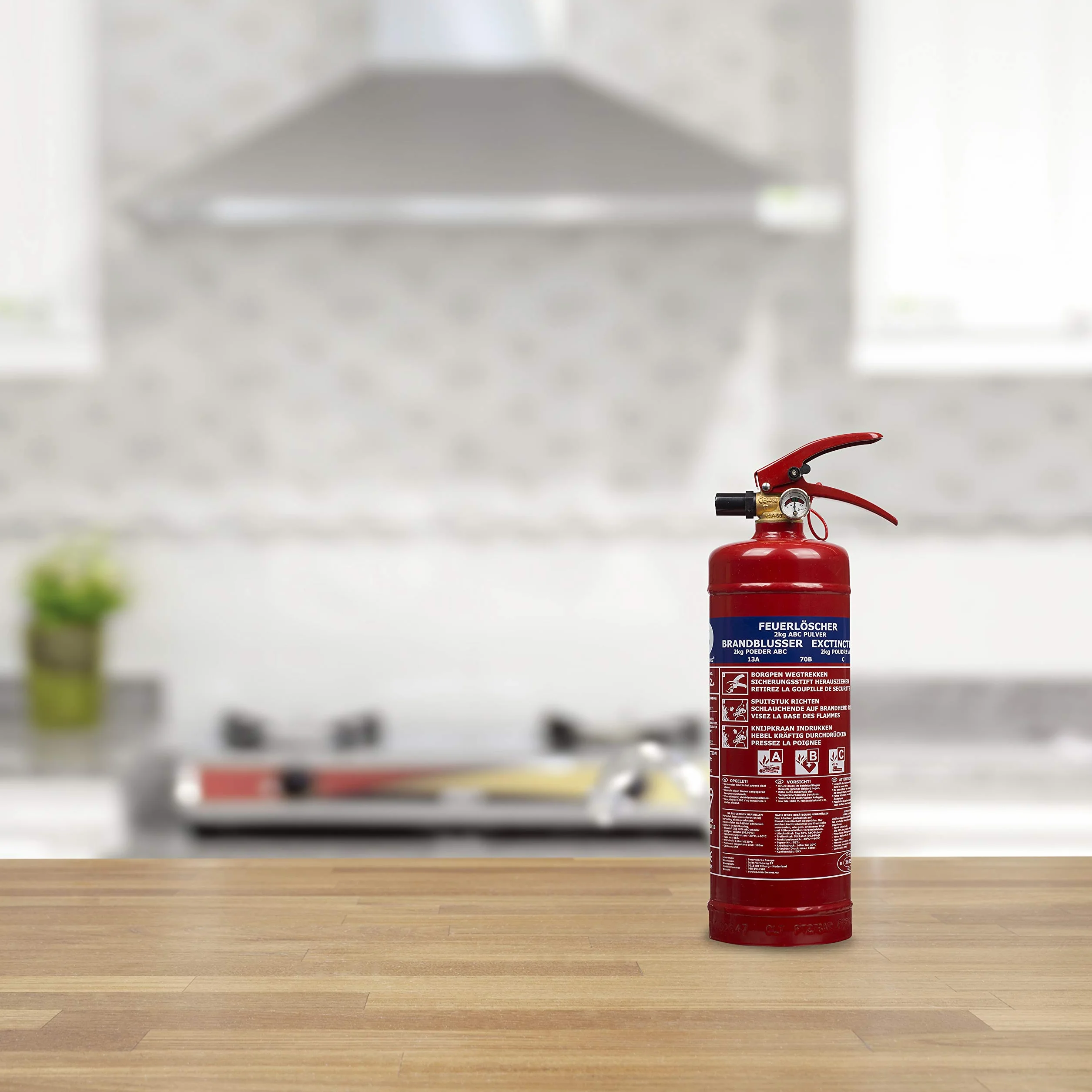 Smartwares Extintor de Polvo 2 kg Fuegos ABC FEX-15122
