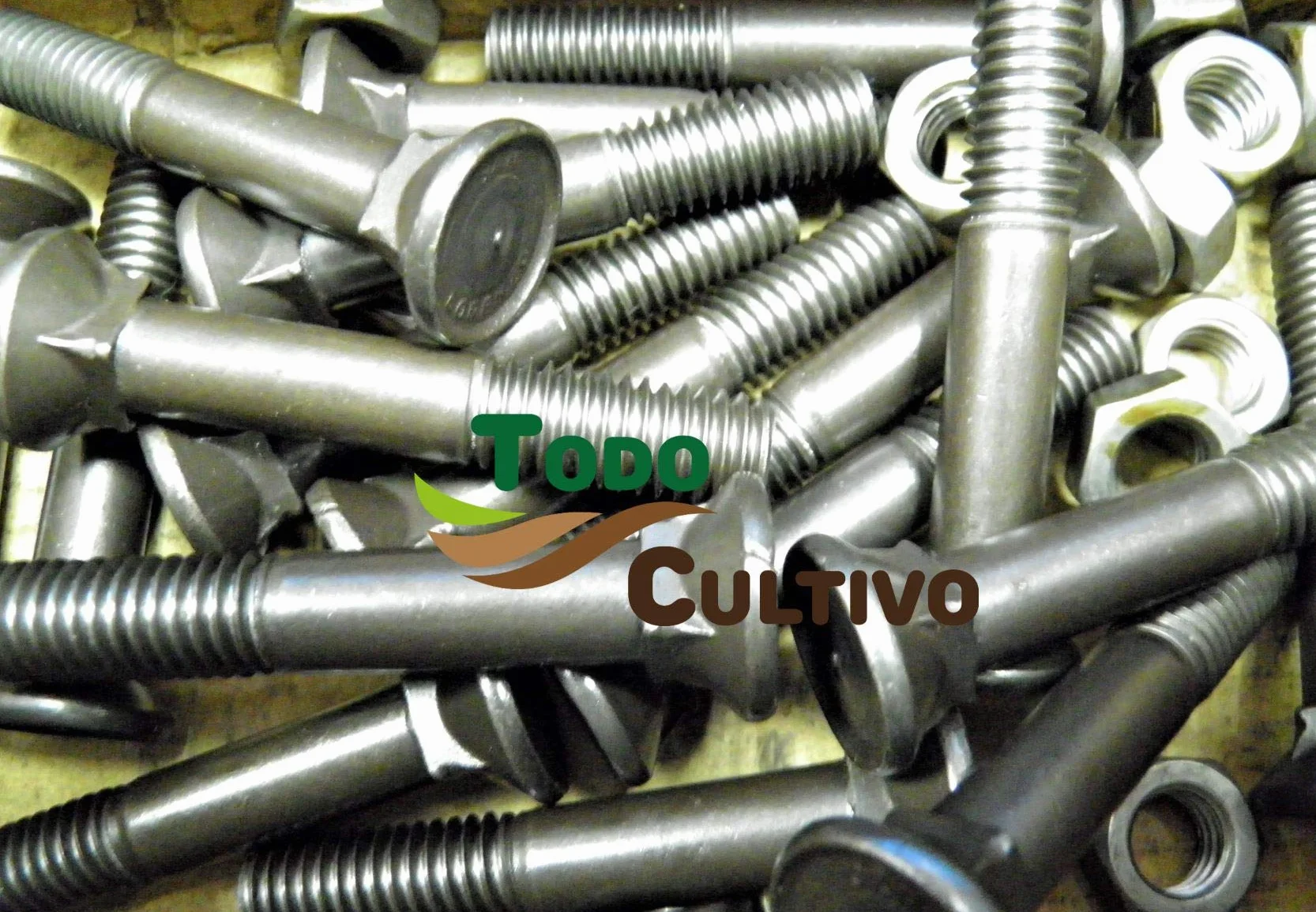 Tornillo de Arado 11X70 DIN 608. Caja 50 Uds. Tornilleria de máxima calidad marca San Lorenzo, con cabeza avellanada especial rejas de arado.