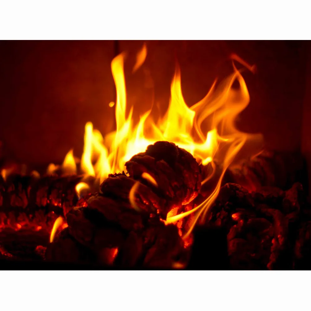 ECO-PAL ECOMAX Chimenea de combustible, briquetas de madera para chimenea, briquetas de alta calidad, larga duración de combustión, respetuoso con el medio ambiente, certificado, en diferentes