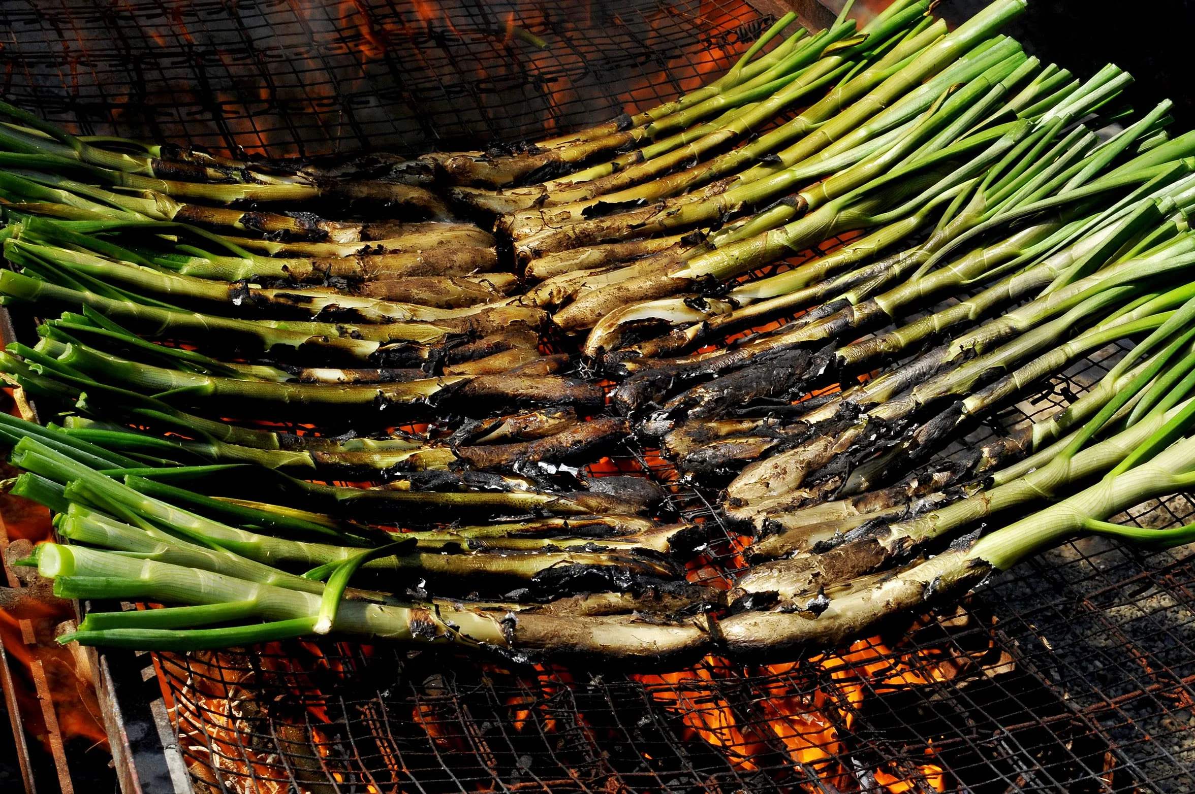 2x68LRamas de Sarmiento Ideal para Arroces, Paellas, Calçots y Chuletitas de Cordero. 68L. Hecho en España. Leña de Vid 100% Natural