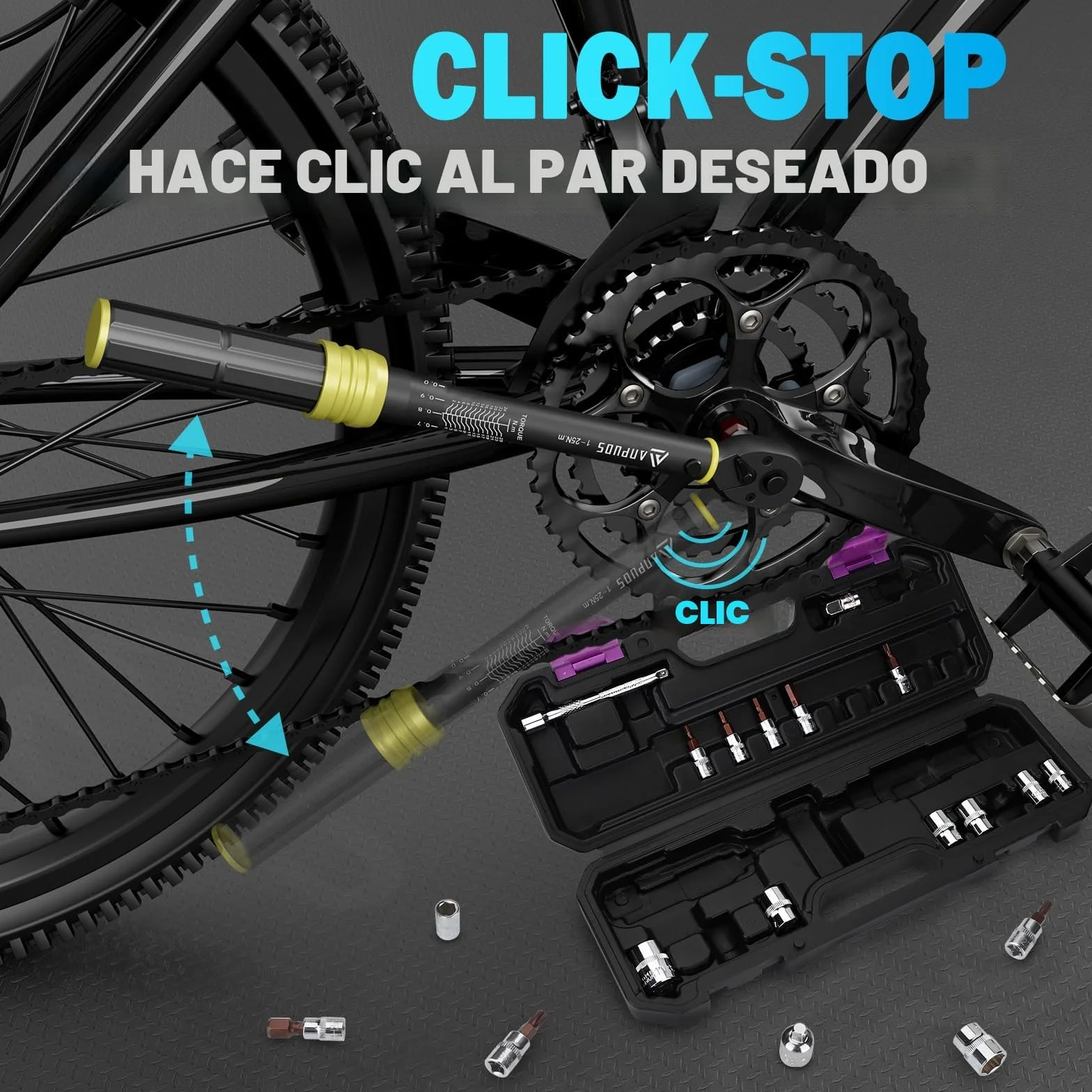ANPUDS Llave Dinamométrica 1/4'', Llave de Torque 1-25 Nm, 72 Dientes, 21 Piezas Llave Dinamométrica Set con Extensión, Adaptador, Torx, Bits, para Reparación y Mantenimiento de Bici